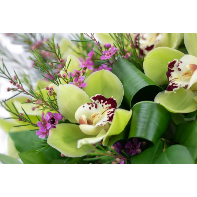 Bouquet of orchids